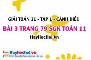 Giải bài 3 trang 79 Toán 11 tập 1 SGK Cánh Diều